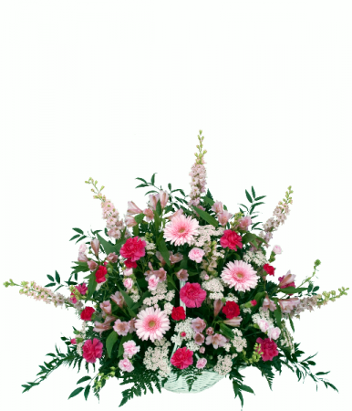 Perfect Pink