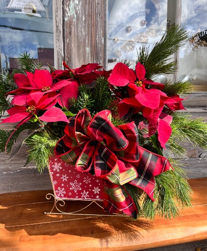 Perfect Potted Poinsettia Plants Christmas Arrangement