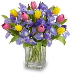 PERFECT SURPRISE ARRANGEMENT