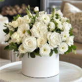 Perfect White 