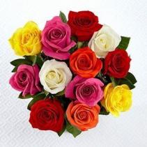 Perfect Wrapped Long-Stemmed Assorted Colour Roses 