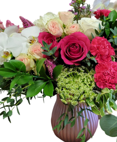 Category Image