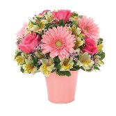 Perfectly Pink Blooms 