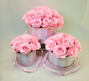 Perfectly Preserved Pink Rose Hat Box "Forever" Roses