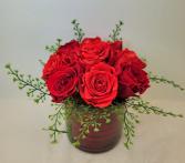 Perfectly Preserved Red Rose Cylinder 