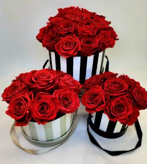 Perfectly Preserved Red Rose Hat Box "Forever" Roses