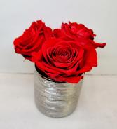 Perfectly Preserved Red Roses In Silver Cylinder 