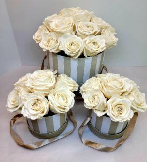 Perfectly Preserved White Rose Hat Box "Forever" Roses