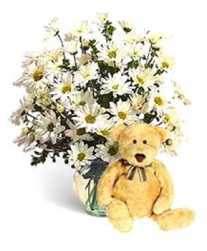 Perfectly Pure Daisies & Bear 