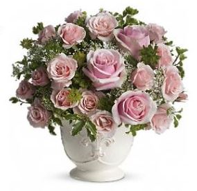 Perisian Pinks