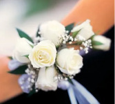 Periwinkle Promise 