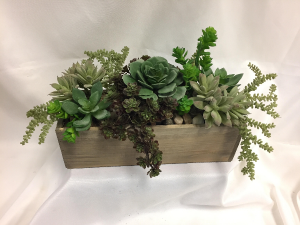 Permanent Succulent Garden Box Artificial Succulents in Detroit Lakes, MN | DETROIT LAKES FLORAL Permanent Succulent Garden Box Artificial Succulents in Detroit Lakes, MN | DETROIT LAKES FLORAL
