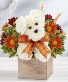 Purchase this funeral home arrangement