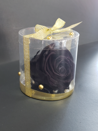 Perserved black rose Perserved rose