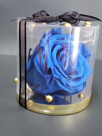 Perserved blue rose Perserved rose