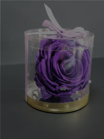 Perserved purple rose Perserved roses