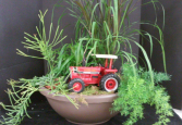 Plant - Personalized Sympathy (TRACTOR NOT INCLUDED-customer provides or selects memorial item we have availabe)