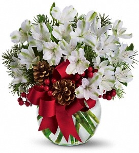 Peruvian Lily (Alstromeria) Winter Wonder Vase Arrangement