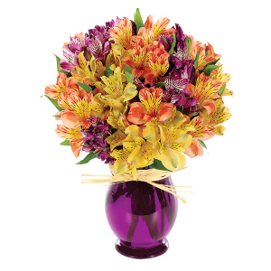 Peruvian Lily Bouquet Everyday