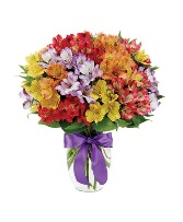 Peruvian Lily Rainbow Bouquet 