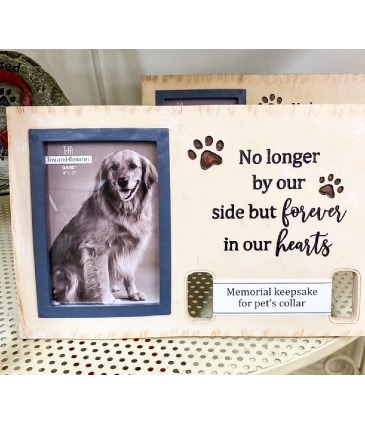 Pet Memorial Frame Sympathy Pet Gift in Anderson, IN | The Gift Box