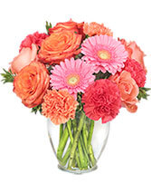 Cedar City Flowers  Boomer's Bloomers & The Candy Factory (435) 586-6769 Cedar  City Florist