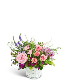 Category Image