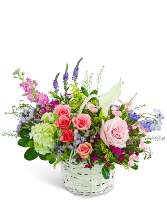 Petal Reverie 