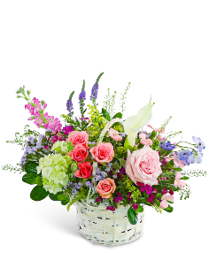 Category Image
