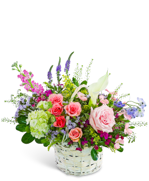 Petal Reverie 