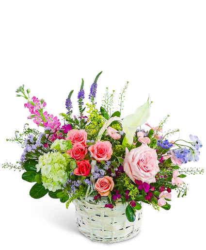 Petal Reverie