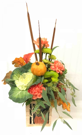 Petals & Pumpkins