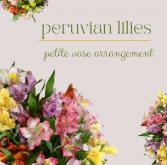 Petite Arrangement-Peruvian Lily Mix 