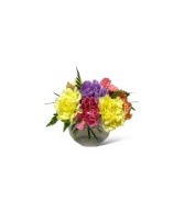 Petite Bubbly Butterflies Vase Arrangement