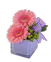 Petite Gerberas Floral Design in Canton, Illinois | CJ FLOWERS & MORE