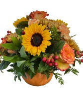 Petite Pumpkin Arrangement 