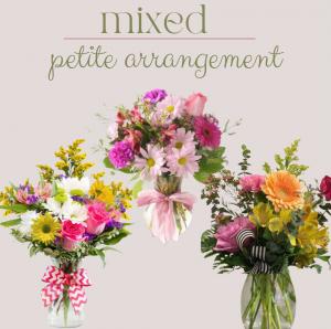 Petite Arrangement-Mixed 