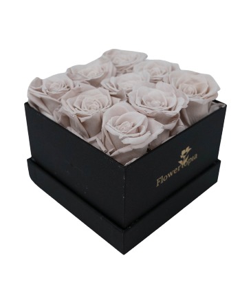 9 Off White Preserved Rose Box Long Lasting Roses 1to 2 years in Miami, FL | FLOWERTOPIA
