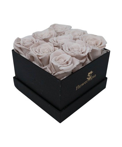 9 Off White Preserved Rose Box Long Lasting Roses / sold out