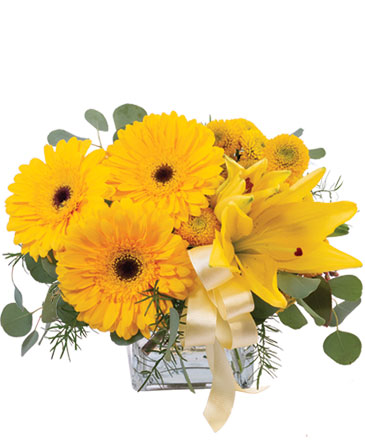 Petite Yellow Flower Arrangement in Slaughters, KY | Elmwood Boutique & Florist