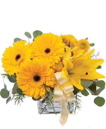 Petite Yellow Flower Arrangement in Houston, TX | BLOMMA FLOWERS