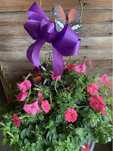 Petunia Basket with Butterfly Plant in Newton, KS | Newton Tuxedo & Floral Boutique/Designs by John