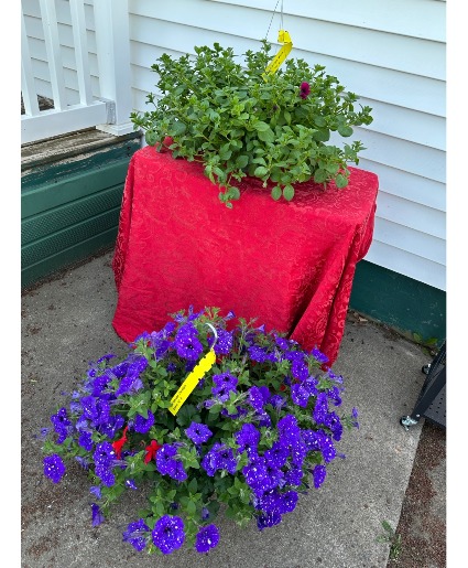 Petunia Hanging Basket Hanging Basket