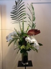 phaleonopsis orchids modern arrangment