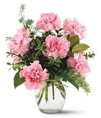  PHI MU- 1/2 Dozen Carnations 
