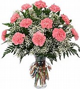 PHI MU- 18 PINK CARNATIONS