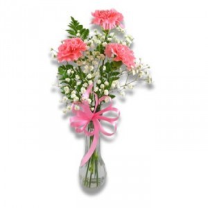 PHI MU- 3 Carnation Vase 3 PINK OR PINK/WHITE CARNATIONS WITH GREENERY AND RIBBON