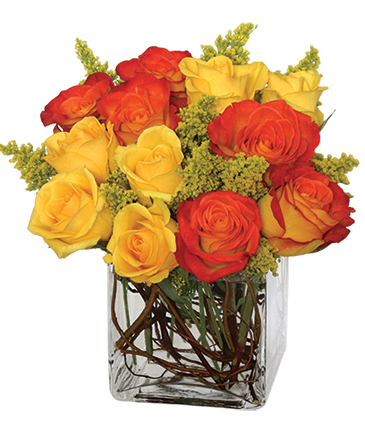 Phoenix Flame Rose Arrangement in Albany, NY | Ambiance Florals & Events