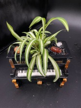 Piano Planter  Custom Original