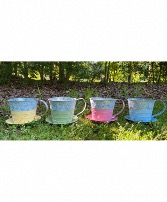 Pic of Teacup Containers and Colors 